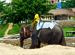 Chitwan National Park Jungle Safari